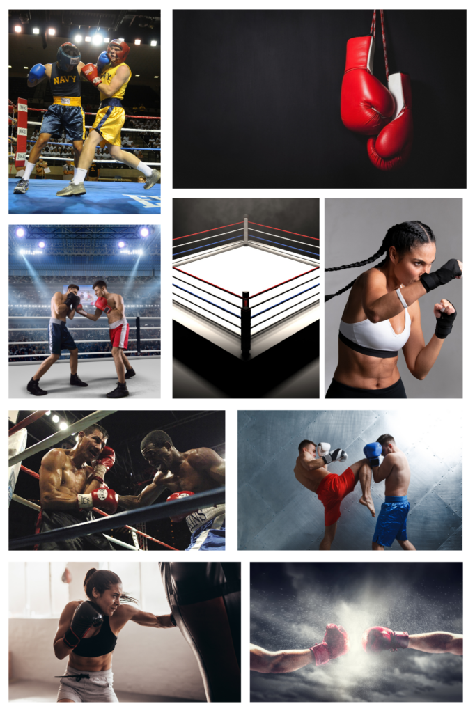 Indian Mix Boxing User Friendly Website Design